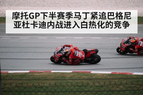 Ducati motorcycle racing