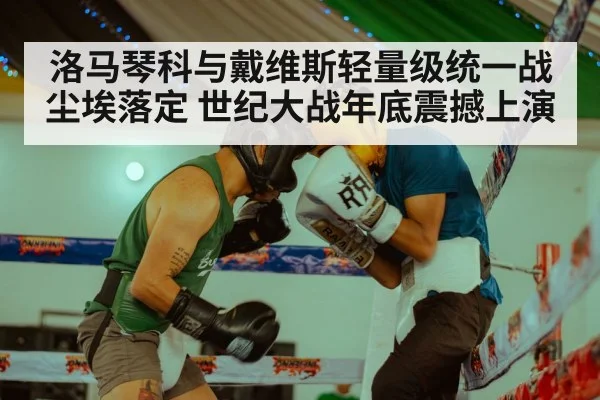 洛马琴科与戴维斯轻量级统一战尘埃落定 世纪大战年底震撼上演