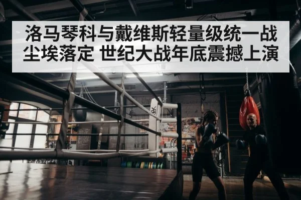 boxer training